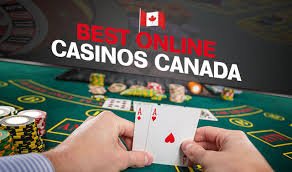 Discover the Best Online Casinos A Gamer's Guide Discover the Best Online Casinos A Gamer's Guide