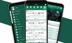 Exploring BerWinner Withdrawal Methods A Complete Guide